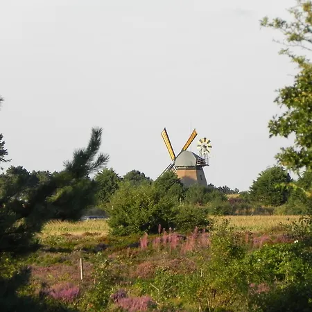 Apartmán Haus Seeadler Meeresbrise Wittdün